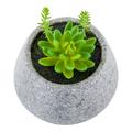 Plastic Table Art Faux Succulent Arrangement - Gravel Concrete Planter Round - 6 1/2 x 6 1/2 x 7 - 1 count box