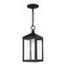 Livex Lighting - Nyack - 1 Light Outdoor Pendant Lantern in Mid Century Modern