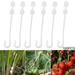 Tomato Support Clips Vegetable Holders Trellis Twine Prevent Falling Fixed Gardening Supplies Greenhouse J-shape Hook