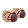 Florida State Seminoles 2-Piece Ceramic Helmet Planter Set