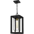 Infinger 1 Light Outdoor Hanging Lantern in Earth Black