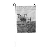 LADDKE Plow Man Plowing Field Ox Drawn Plough 1930S Agriculture Garden Flag Decorative Flag House Banner 12x18 inch