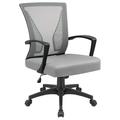 Homall Office Chair Ergonomic Desk Chair with Lumbar Support Grey