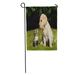 KDAGR Puppy Cat and Dog Kitten Cute Pet Funny Kitty Garden Flag Decorative Flag House Banner 12x18 inch