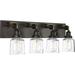 Rushton Collection Four-Light Graphite Clear Glass Farmhouse Bath Vanity Light