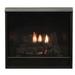 Empire DVP42FP91N MF Natural Gas Fireplace with Barrier Screen & Blower