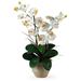 Alcott Hill® Double Phalaenopsis Orchids Floral Arrangement in Pot Polyester/Faux Silk/Plastic/Fabric in Pink/Green/White | Wayfair