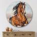 East Urban Home Portrait Of A Horse In The Race - Farmhouse Metal Circle Wall Art Metal in Brown | 11 H x 11 W x 1 D in | Wayfair