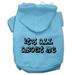 Mirage Pet 62-40 LGBBL Its All About Me Screen Print Pet Hoodies, Baby Blue - Large 14