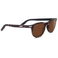 Serengeti Andrea 51mm Drivers Sunglasses for Women (Shiny Dark Tortoise/Black)