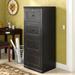 World Menagerie Didier 4-Drawer Vertical Filing Cabinet Wood in Black | 54.5 H x 18.25 W x 22 D in | Wayfair WLDM8177 40131295