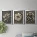 Red Barrel Studio® Blossfeldt Flower I - 3 Piece Picture Frame Graphic Art Set on Canvas Canvas, Solid Wood in Black/Blue/Green | 1.5 D in | Wayfair