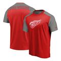 Detroit Red Wings Fanatics Branded Iconic Blocked T-Shirt - Red/Heathered Gray