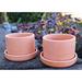 August Grove® Purnell Fat Walled Garden Terracotta Pot Planter Clay & Terracotta | 3.25 H x 4.25 W x 4.25 D in | Wayfair