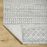 Gray/White 60 x 0.3 in Area Rug - AllModern Kenmore Geometric Light Gray/Area Rug | 60 W x 0.3 D in | Wayfair 310D0A4FFDCB48F9BFEC2A8661B78637