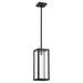 Arlmont & Co. Black 1 -Bulb 15" H Outdoor Hanging Lantern Glass/Aluminium/Metal in Black/Gray | 15 H x 5.88 W x 1 D in | Wayfair