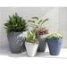 Crescent Garden Self-Watering Vinyl Pot Planter Plastic in Green | 25.79 H x 14.96 W x 14.96 D in | Wayfair A606582