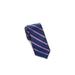 Lauren Ralph Lauren Big Boys Montauk Striped 100% Silk Tie