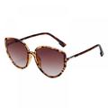 Retro Cat-Eye Big Frame Sunglasses Eyewear Vintage Polarized Cat Eye Sunglasses for Women