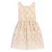 Sweet Kids Girls Champagne Flower Embroidered Special Occasion Dress 7-12