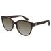 Gucci Brown Cat-Eye Ladies Sunglasses GG0703SK-001 55