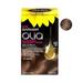 Garnier Olia Oil Powered Permanent Haircolor Light Brown 6.0 - 1 Kit 2 Pack