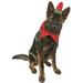 Midlee Elf Dog Hat with Bell Neck Band Dog Costume