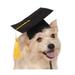 Rubie s Black Graduation Hat Costume Pet