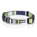 Pawtitas Multicolor Dog Collar Medium Green / White / Blue