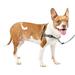 PetSafe Deluxe Easy Walk Dog Harness No-Pull Dog Training Medium Steel