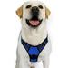 rabbitgoo Dog Harness No-Pull Pet Harness with 2 Leash Clips Adjustable Soft Padded Dog Vest Reflective Outdoor Pet Oxford Vest with Easy Control Handle for Medium Dogs Navy Blue