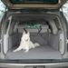 K&H Pet Products Quilted Cargo Cover Gray Full Size Vehicle 57 Inches