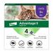 Advantage II Vet-Recommended Flea Prevention for Large Cats 9 lbs+ 4-Monthly Treatments