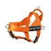 Dean & Tyler No Pull Dog Harness DT Universal Orange X-Small No Pull Training Harness Stops Leash Pulling