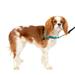PetSafe Deluxe Easy Walk Dog Harness No-Pull Dog Training Small Ocean