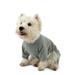 Leveret Dog Cotton Pajama Solid Light Grey M