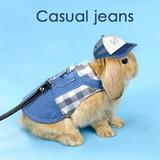 Jolly Small Pet Clothes Leash Set Hoodie Strap Jeans Guinea Pig Lop-eared Rabbit Hamster Leash Outdoor