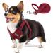 Step-in Dog Harness Cat Harness Walking Escape Proof Vest Harness for Kitten Puppy Breathable Soft Fabric Padded Dog Harness Reflective Pet Harness for Small Medium Dog