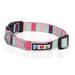 Pawtitas Multicolor Dog Collar Small Teal / Purple / Pink