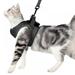 Cat Outdoor Walking Harness Set Easy Control Breathable Pet Vest Harness Adjustable Pet Harness Black S (Chest: 13.0 -15.0 )