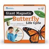 LER6043 - Giant Magnetic Butterfly Life Cycle Set Set of 9 by Learning Resources