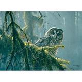 Cobble Hill MOSSY BRANCHES SPOTTED OWL 500 pc Jigsaw Puzzle Robert Bateman