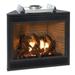 Empire DVX42FP91LP 42 in. Propane Direct-Vent Fireplace MF Blower with Dimmable Light