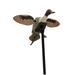 Mojo Outdoors Elite Series Pintail Duck Waterfowl HW2469 1Piece 5.25 Pounds Assembled Weight