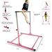 ProGymnastics Adjustable Gymnastics Kip Bar Horizontal Bar Kids Junior Gymnastics Expandable Training Bar Height Adjustable 3 to 5 FT (Pink)
