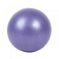 Forzero Exercise Balls for Women 9.84 inch Core Ball Barre Workout Mini Yoga Pilates Ball Small Stability Balls Physical Therapy Rubber Ball Pump Fitness Gym Equipment