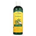 TheraNeem Gentle Therap Conditioner Nourishing Formula with Organic Neem Oil All Hair Types Sensitive Scalp 12 oz 2 Pack