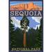 Sequoia National Park California Sequoia Tree and Palisades (12x18 Wall Art Poster Room Decor)