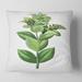 Designart 'Vintage Green Leaves Plants VI' Traditional Printed Throw Pillow