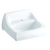 KOHLER K-2007-0 Laboratory Sink,15" x 10" Bowl,Porcelain